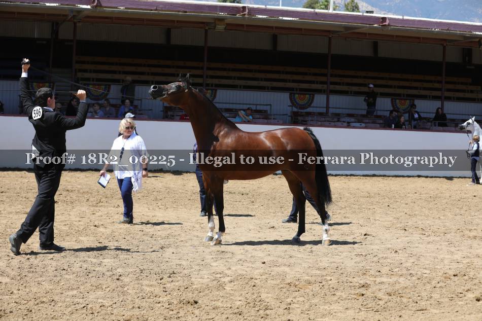 Proof 18R2_00225
