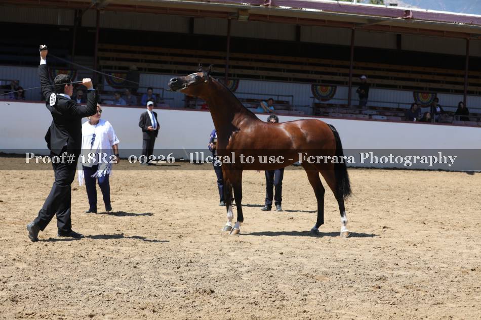 Proof 18R2_00226