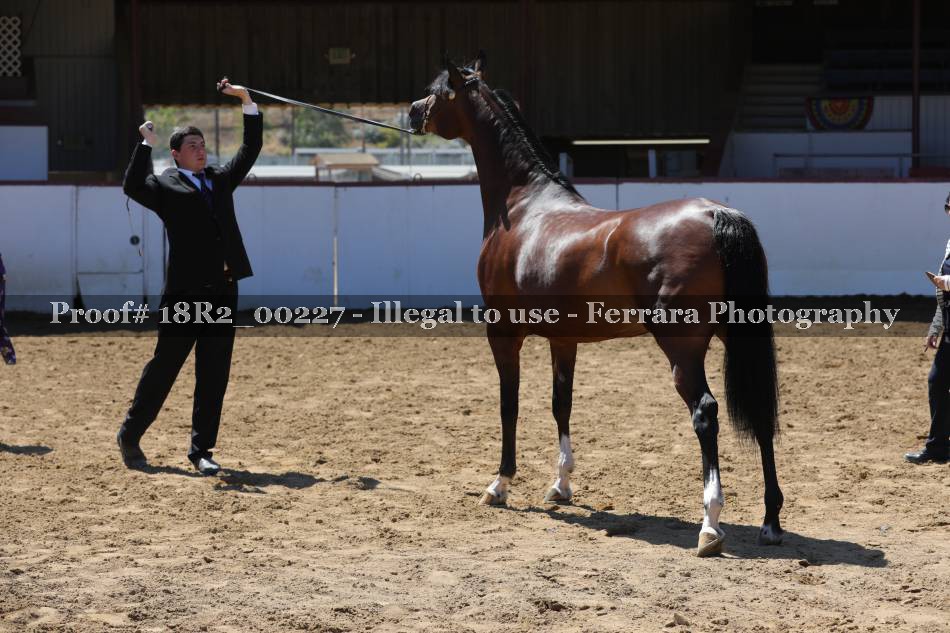 Proof 18R2_00227