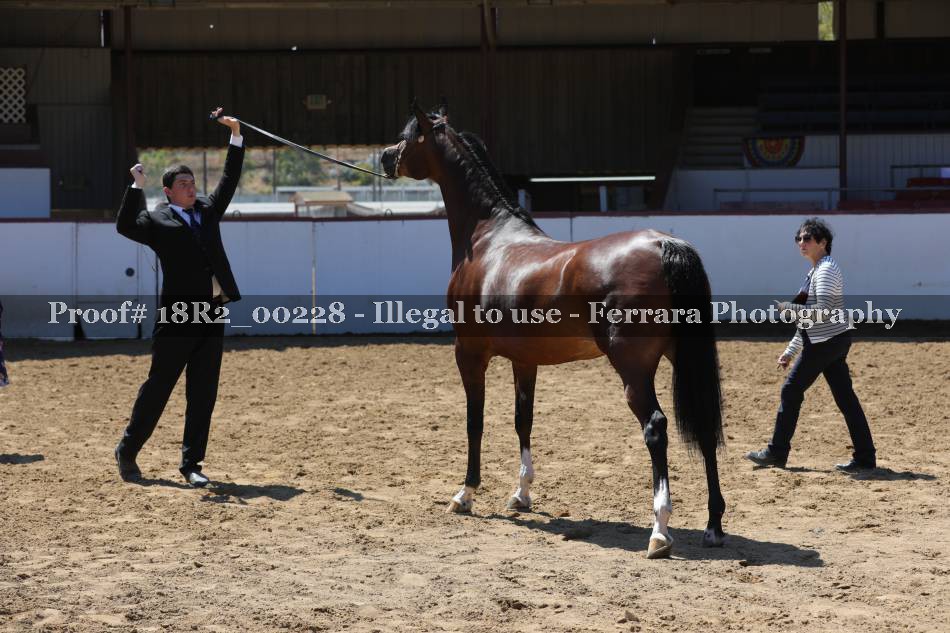 Proof 18R2_00228