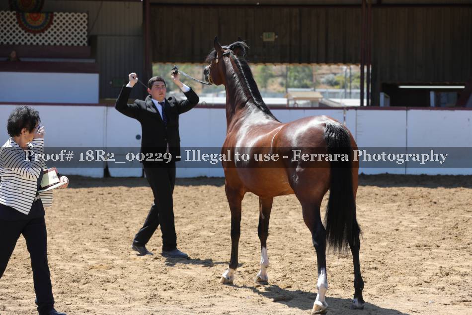 Proof 18R2_00229