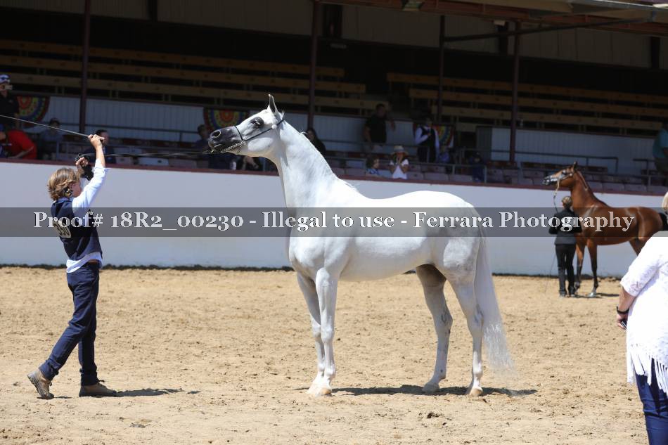 Proof 18R2_00230
