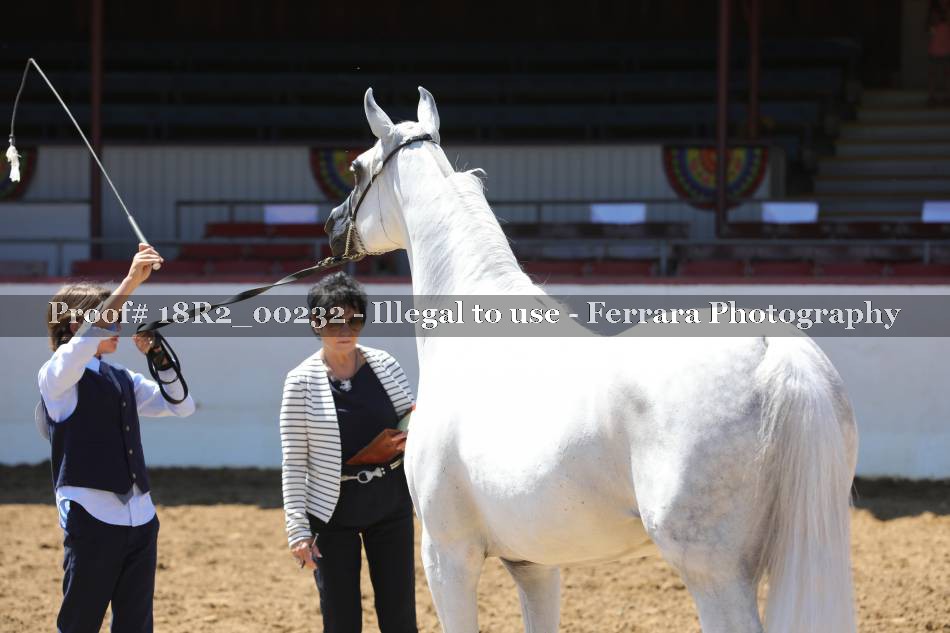 Proof 18R2_00232