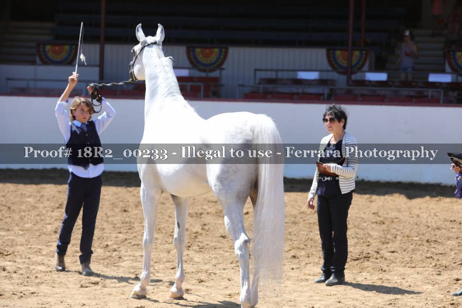 Proof 18R2_00233