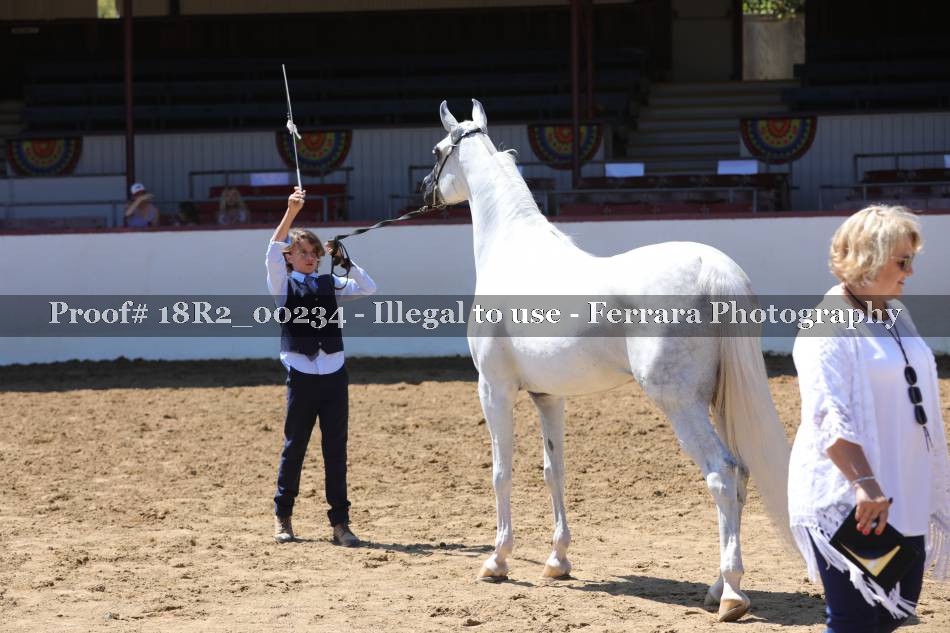 Proof 18R2_00234