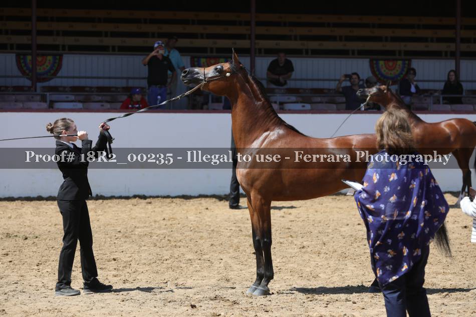 Proof 18R2_00235
