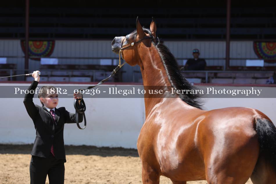 Proof 18R2_00236