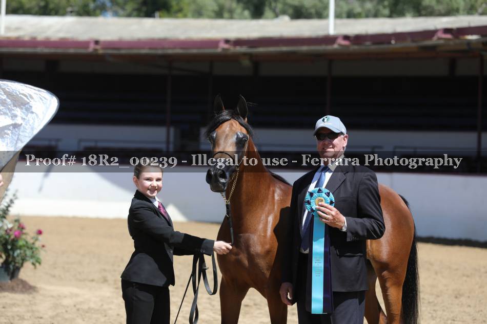 Proof 18R2_00239