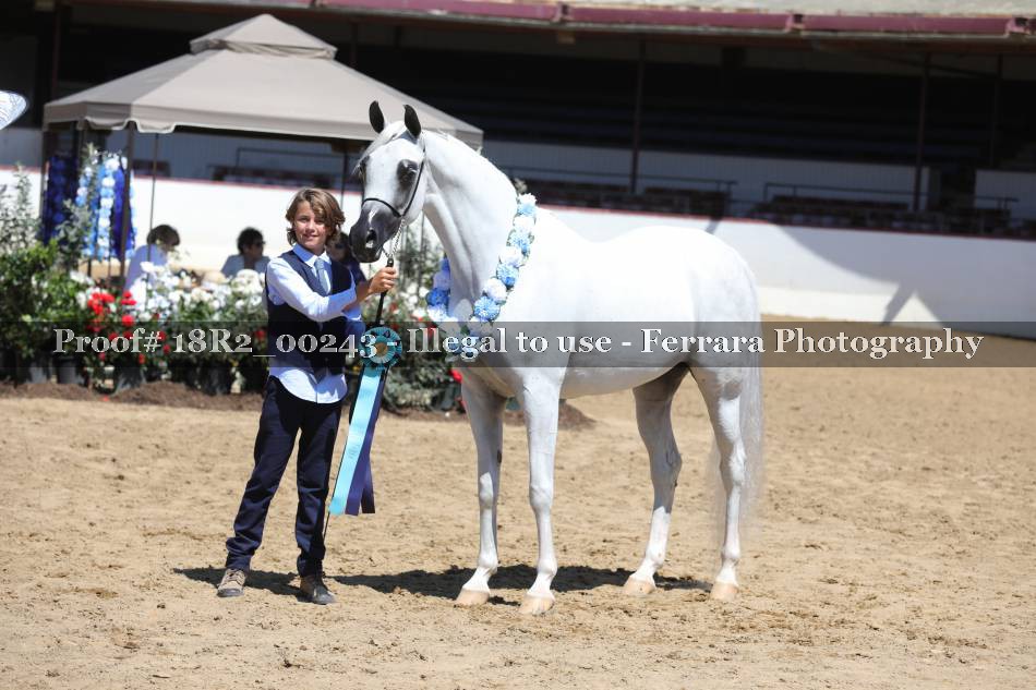 Proof 18R2_00243