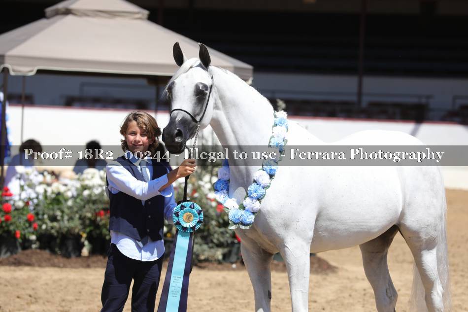 Proof 18R2_00244