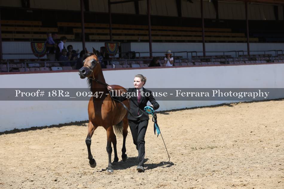 Proof 18R2_00247