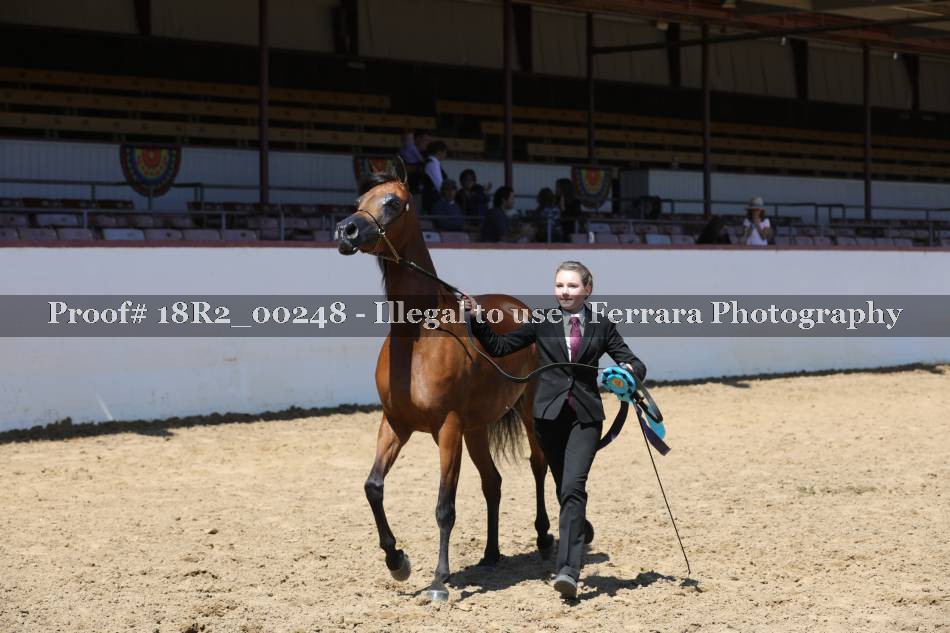 Proof 18R2_00248