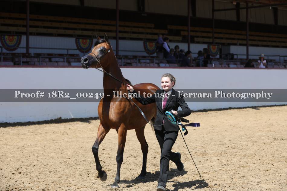Proof 18R2_00249