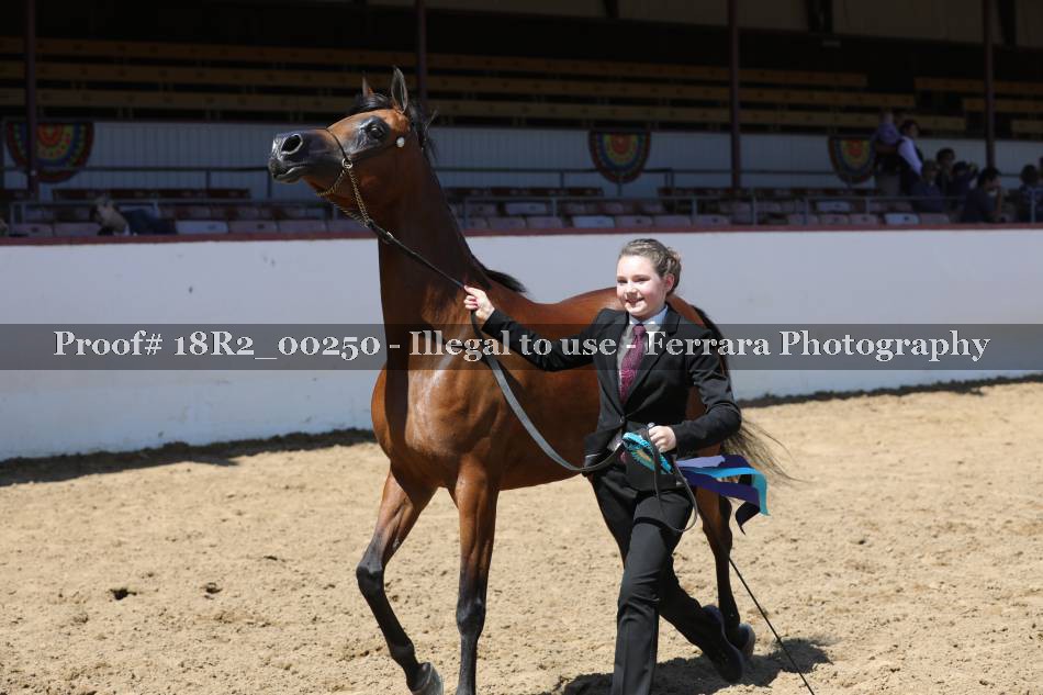 Proof 18R2_00250