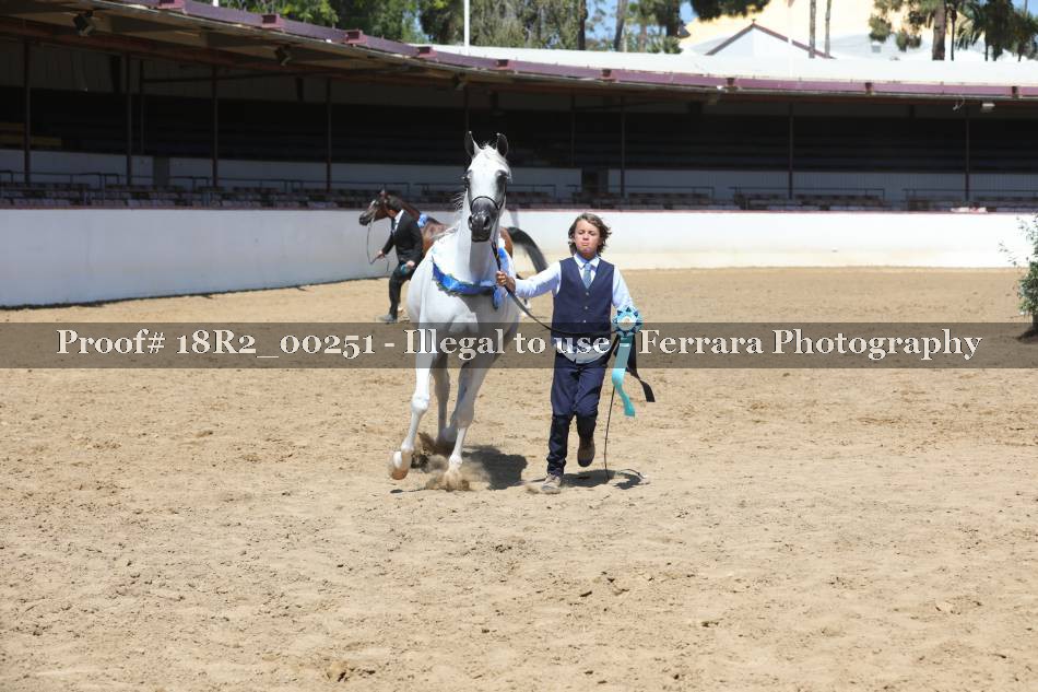 Proof 18R2_00251