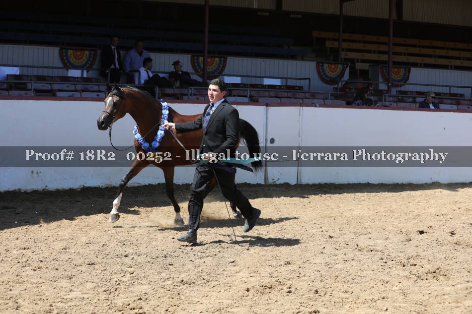 Proof 18R2_00252