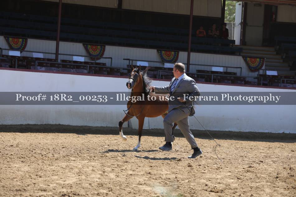 Proof 18R2_00253