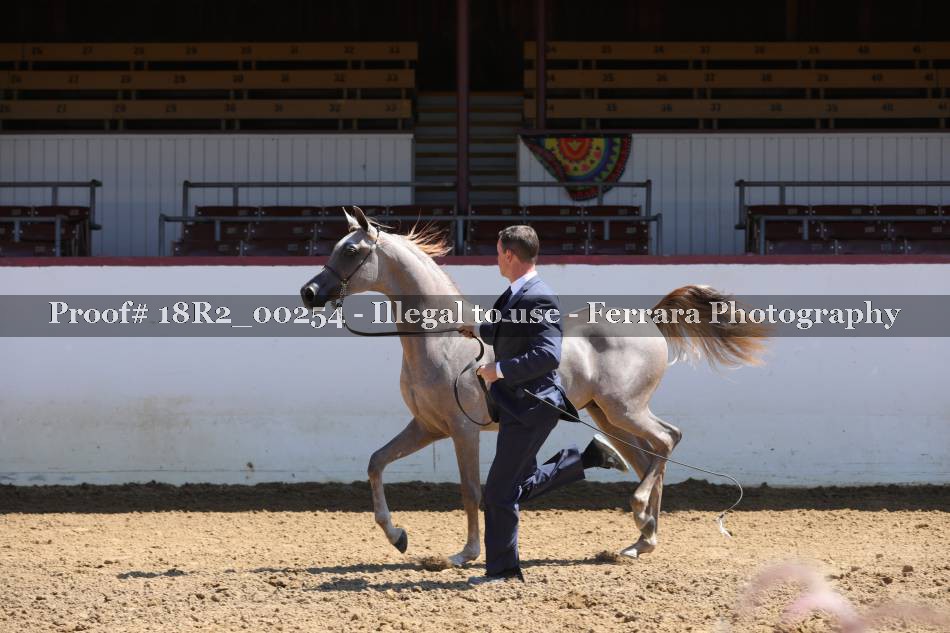 Proof 18R2_00254