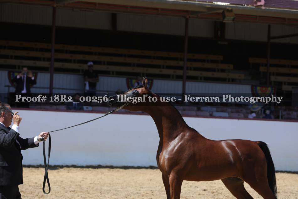 Proof 18R2_00256