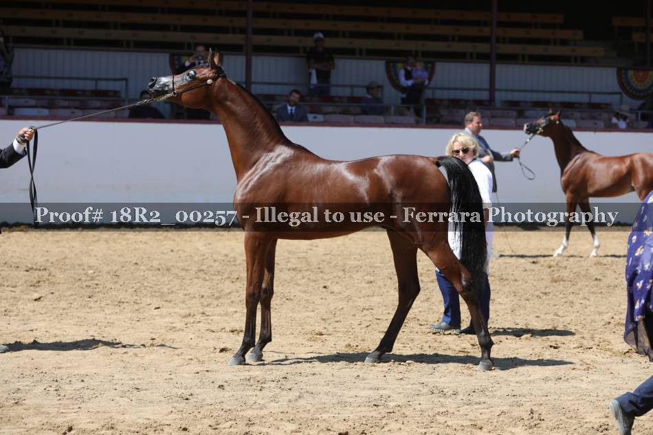Proof 18R2_00257