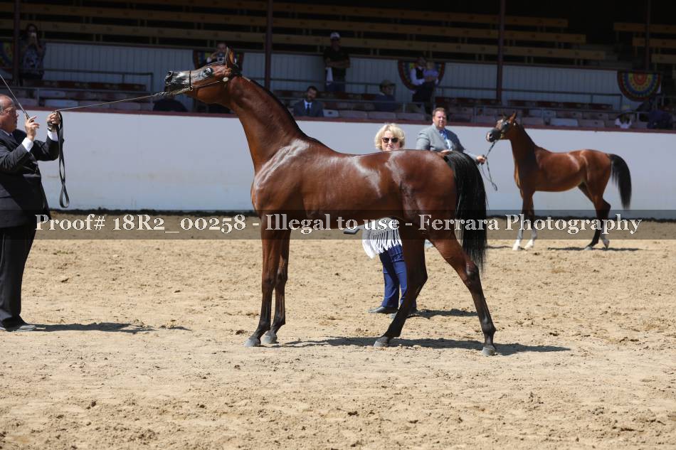 Proof 18R2_00258