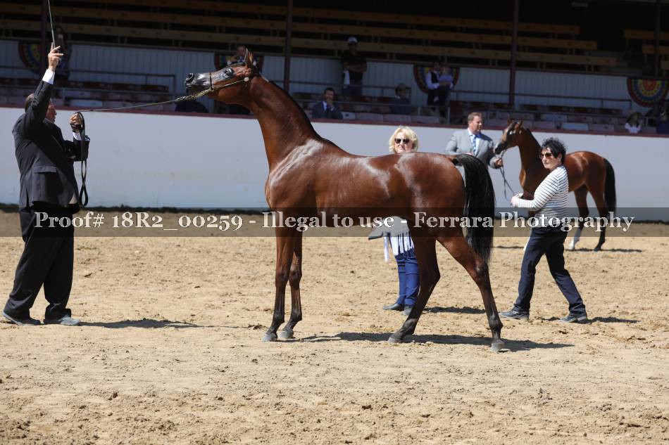 Proof 18R2_00259