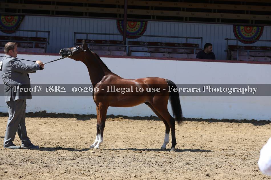 Proof 18R2_00260