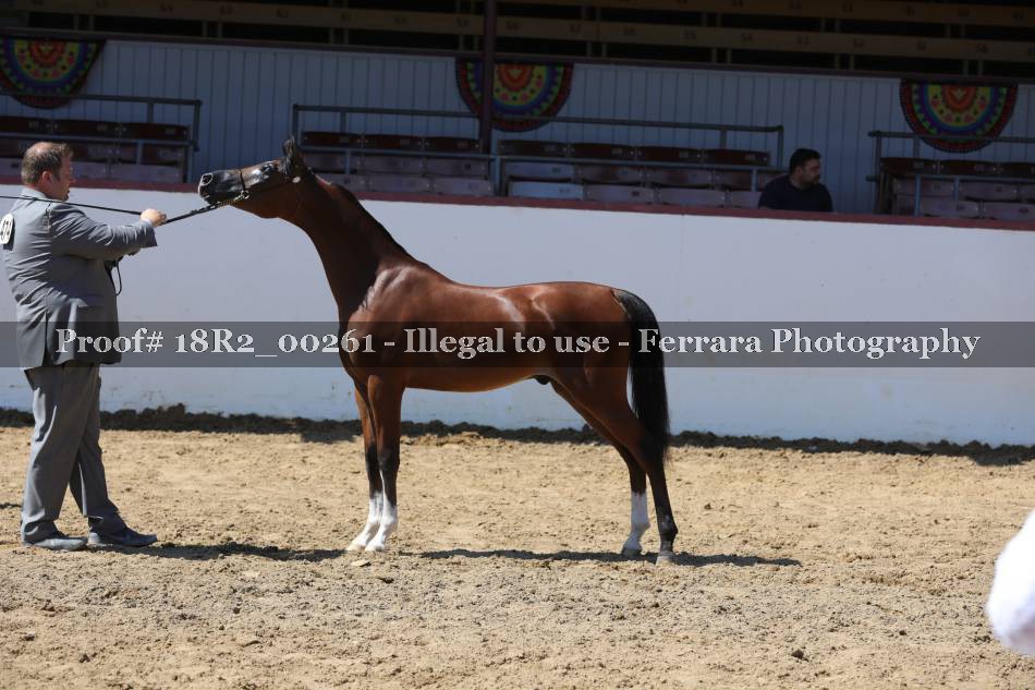 Proof 18R2_00261