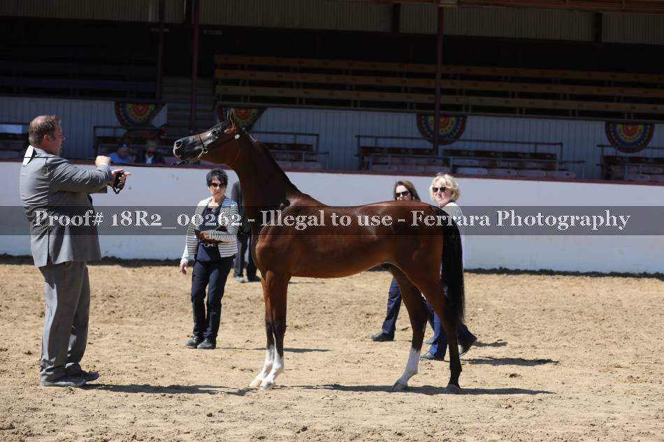 Proof 18R2_00262