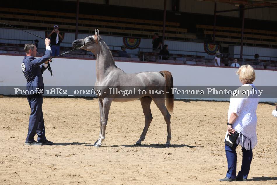 Proof 18R2_00263