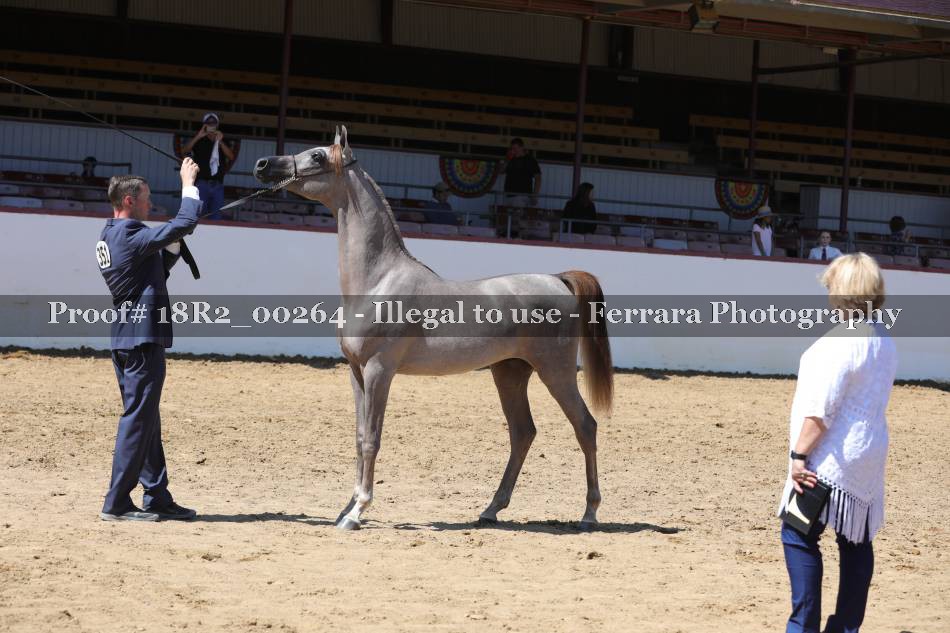 Proof 18R2_00264