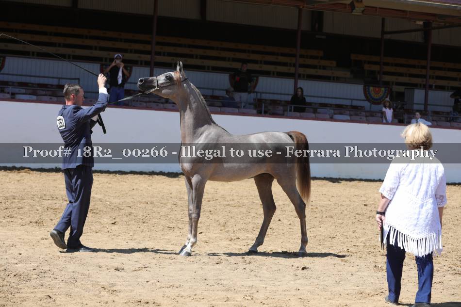 Proof 18R2_00266