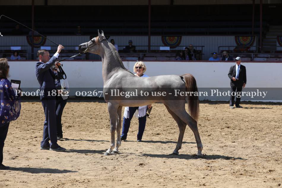 Proof 18R2_00267
