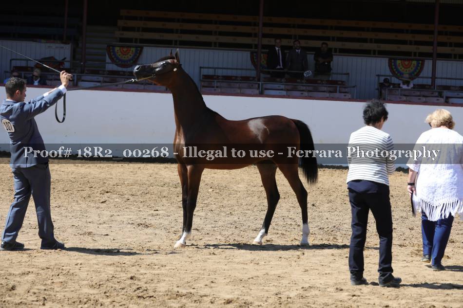 Proof 18R2_00268