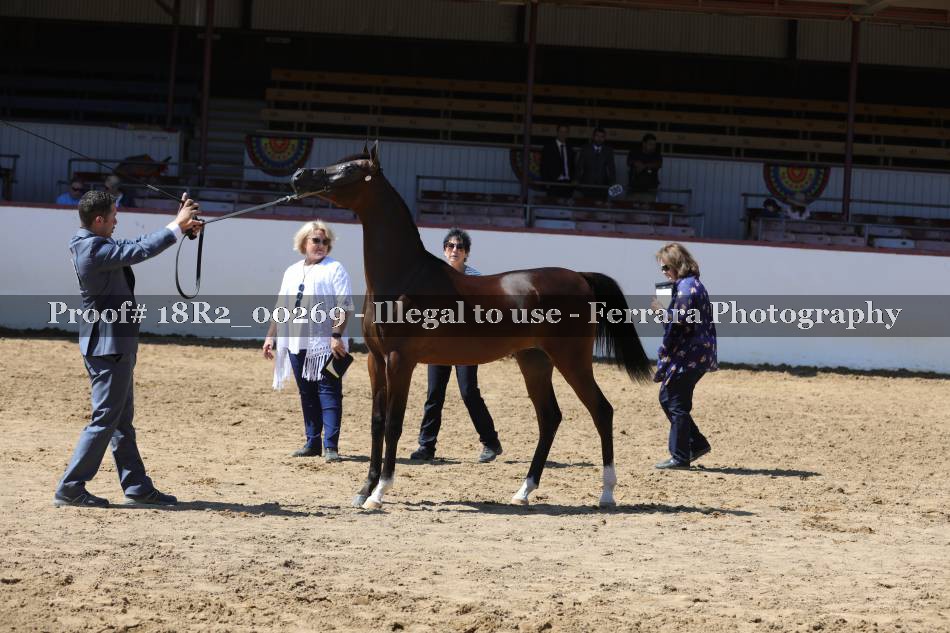 Proof 18R2_00269