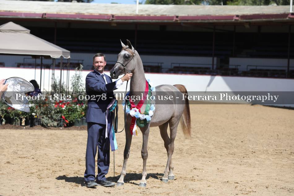 Proof 18R2_00278