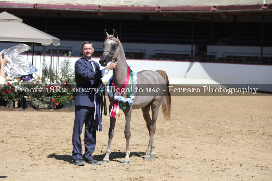 Proof 18R2_00279