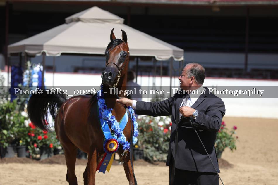 Proof 18R2_00284