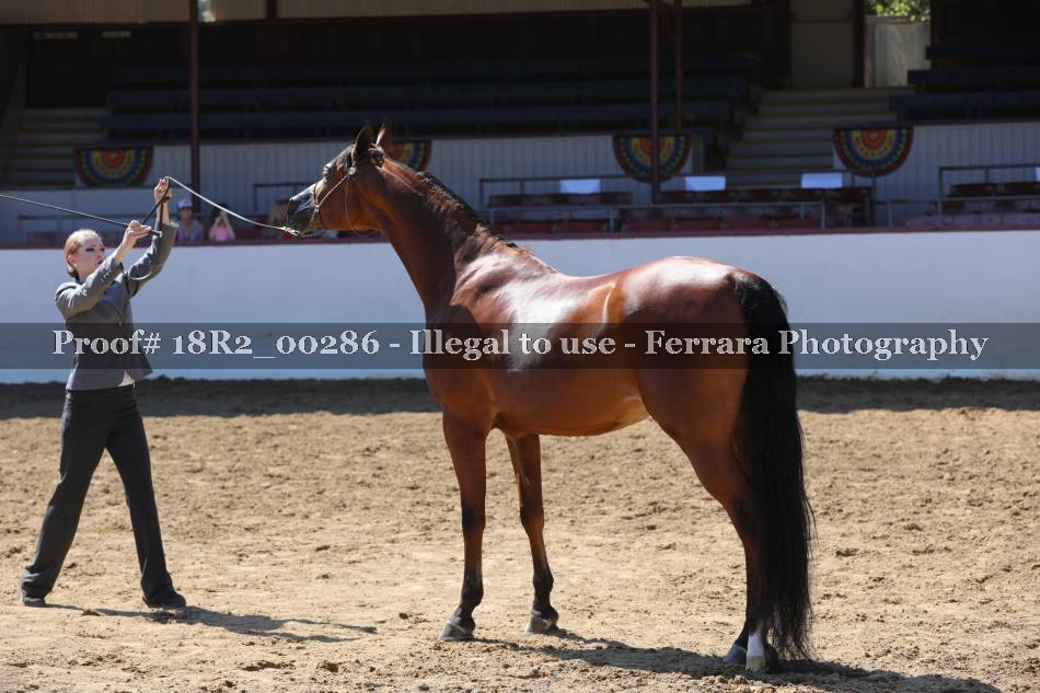Proof 18R2_00286