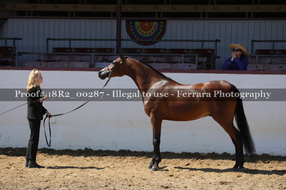 Proof 18R2_00287