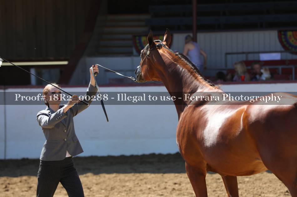 Proof 18R2_00288