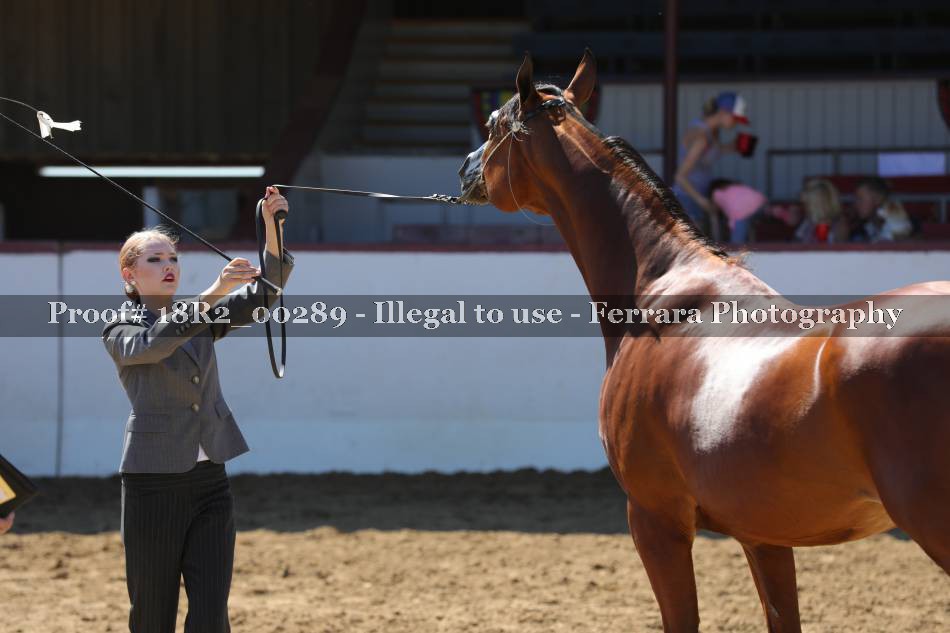 Proof 18R2_00289