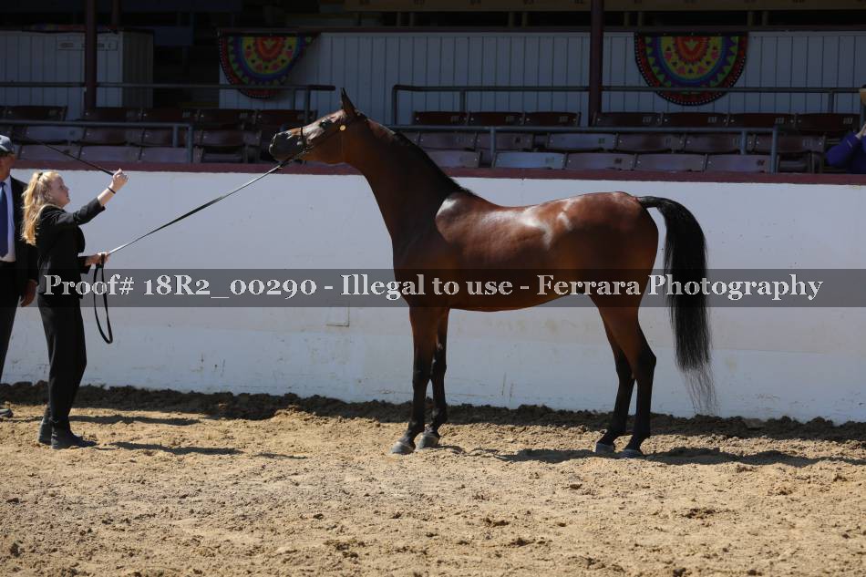 Proof 18R2_00290