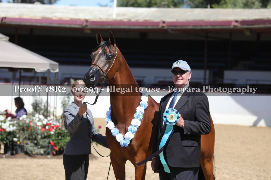 Proof 18R2_00293