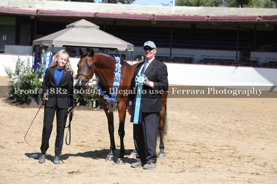 Proof 18R2_00294