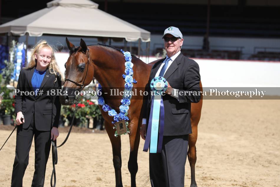 Proof 18R2_00296