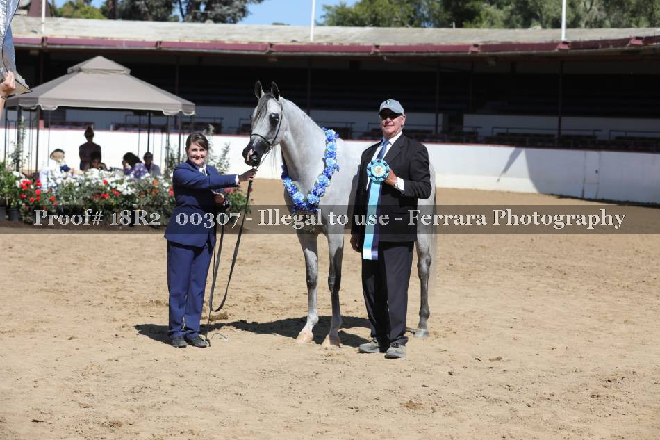 Proof 18R2_00307
