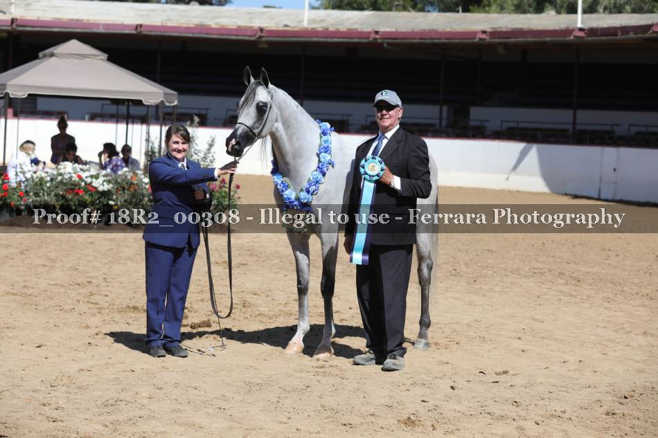 Proof 18R2_00308