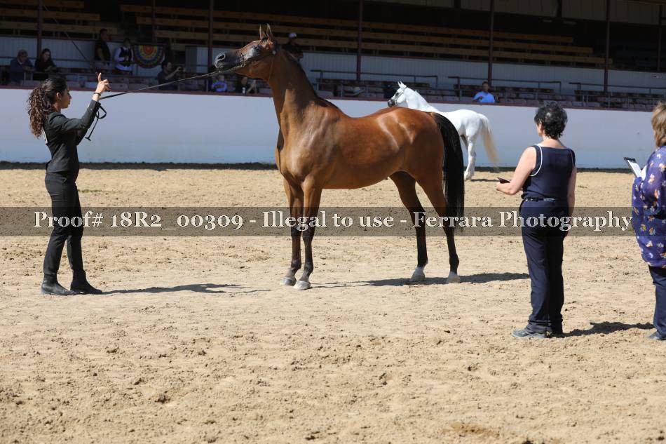 Proof 18R2_00309