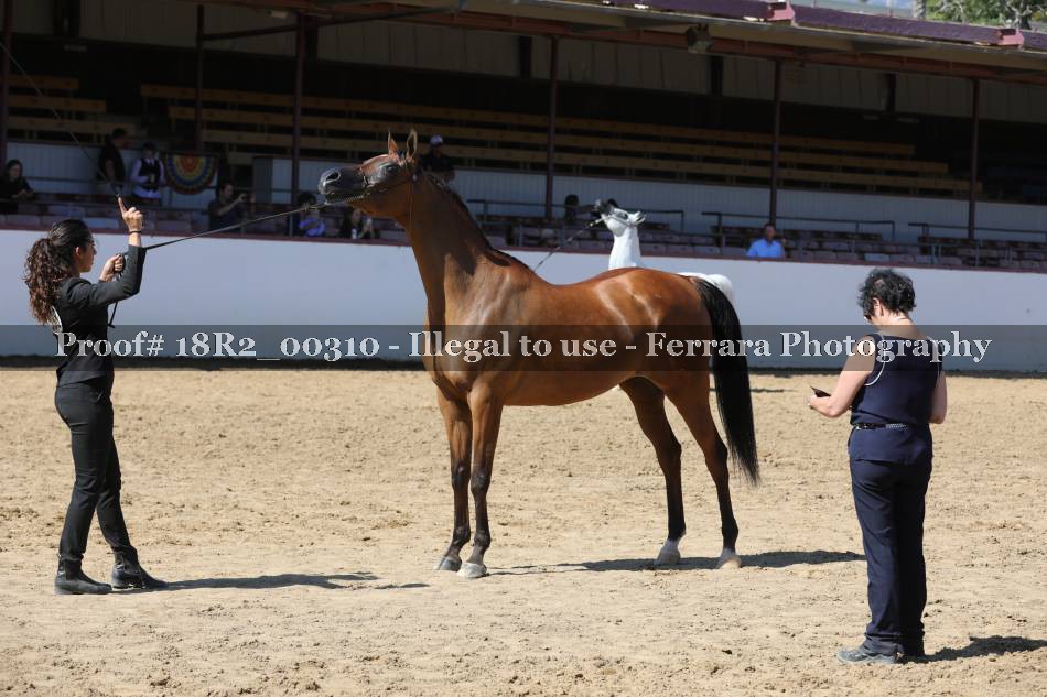 Proof 18R2_00310